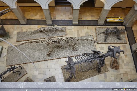 Gemeinde Waldkraiburg Landkreis Mühldorf Ebing Paleontologisches Museum  München Urelefant (Dirschl Johann) Deutschland MÜ